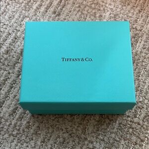 Tiffany & Co. Turquoise Box